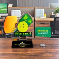 Kỷ niệm chương Pickleball TD-177