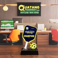 Kỷ Niệm Chương Pickleball TD-175