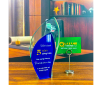 Kỷ Niệm Chương Chiếc Lá 2 lớp TD-140