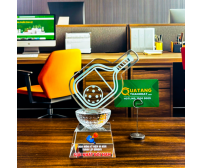 Kỷ Niệm Chương Pickleball TD-190