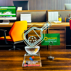 Kỷ Niệm Chương Pickleball TD-190