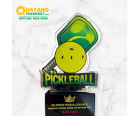 Kỷ niệm chương Pickleball TD-177